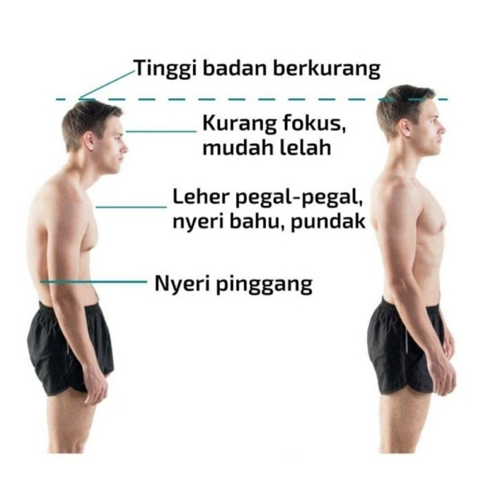 Flexytrain Flexy Train Original | Olahraga dirumah serasa ngegym