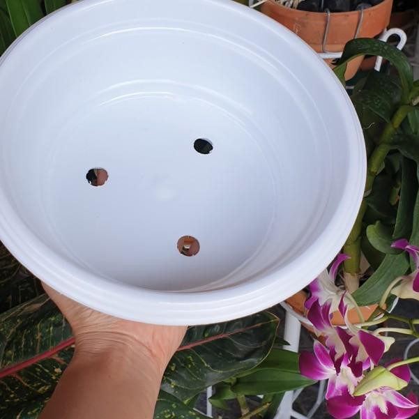 Saletopϟ Pot ceper bonsai pendek plastik putih diameter 25cm