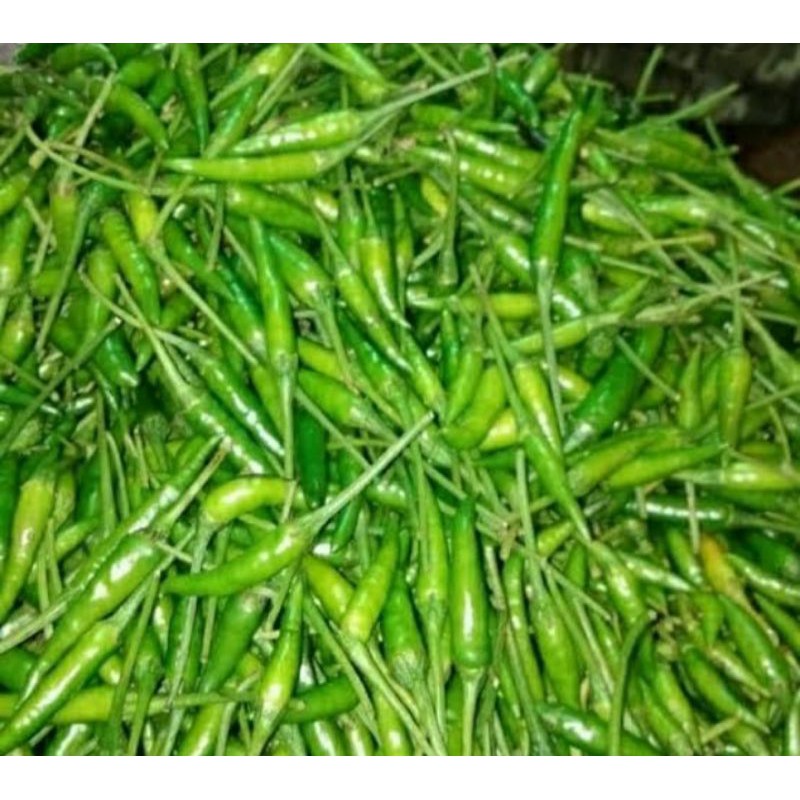 

Cabe Rawit Hijau segar