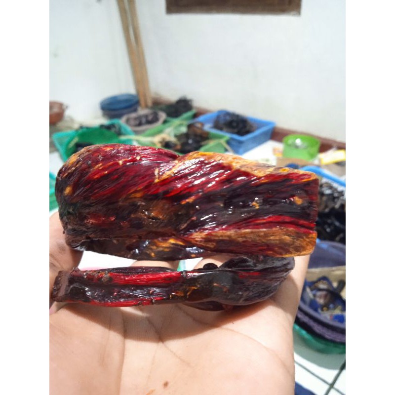 gelang akar Bahar merah jumbo