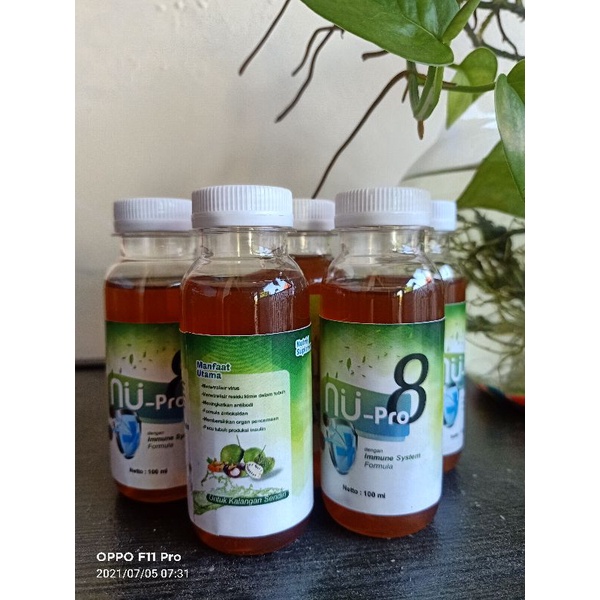 

Nu Pro 8 Herbal Probiotik