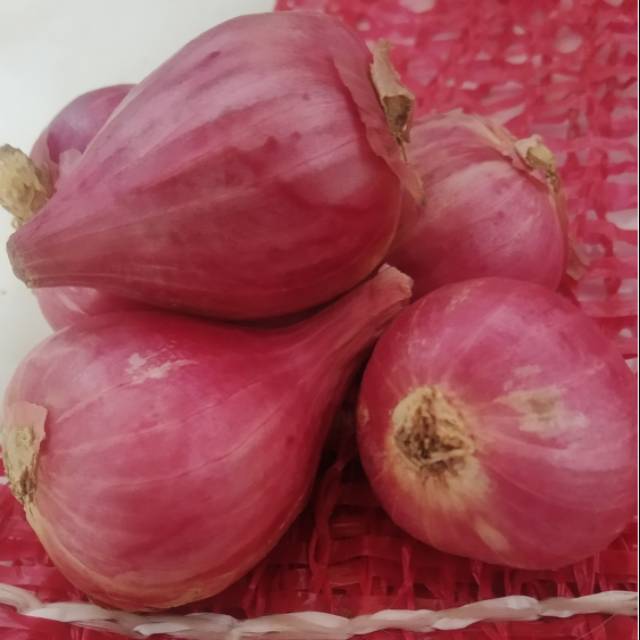 

Bawang merah Brebes