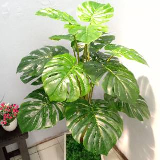  Pohon monstera  artificial daun monstera  artificial 