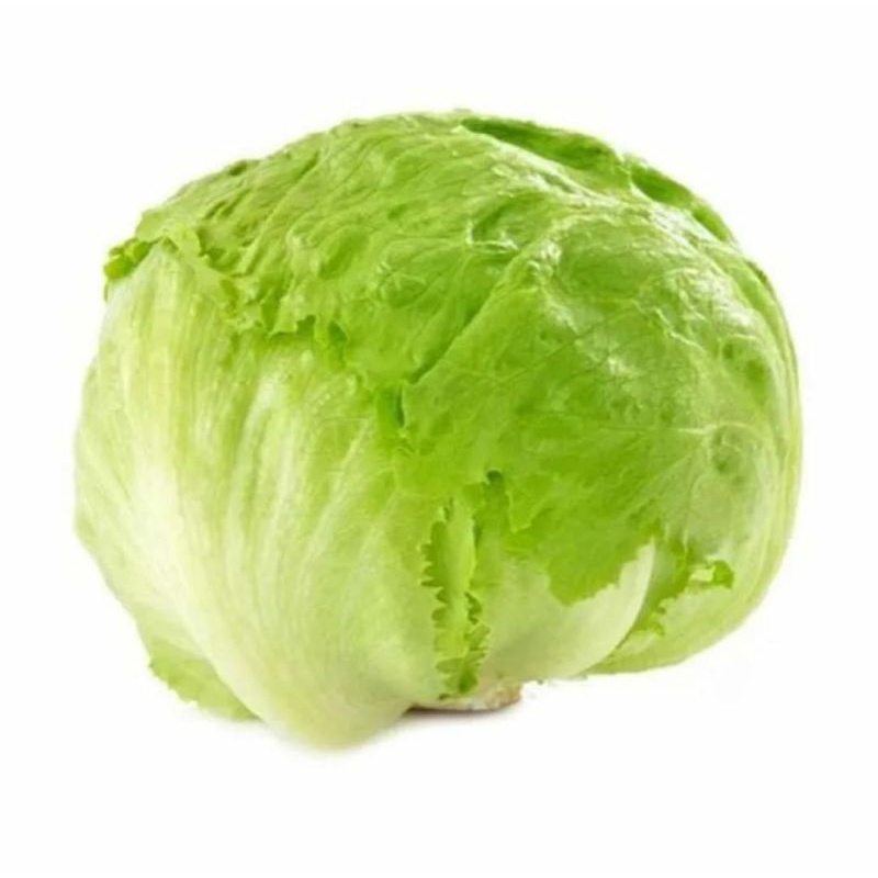 

LETTUCE PER 1 WALL