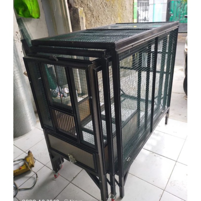 umbaran murai 4 mtr 3 trap brown