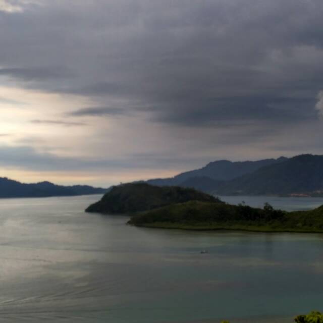 yavolga