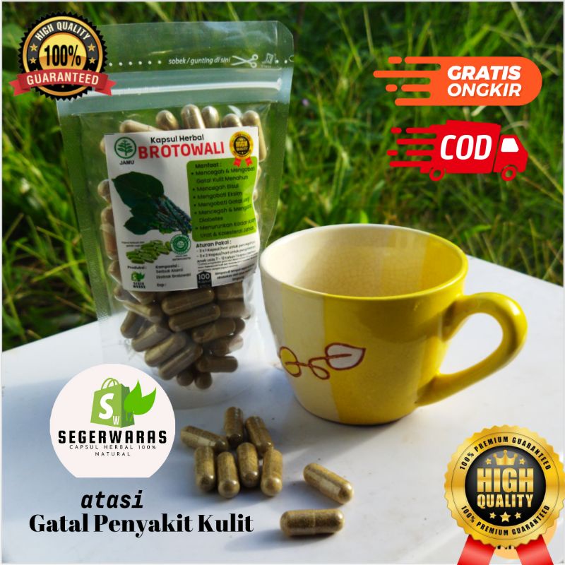 Brotowali isi 100 Kapsul