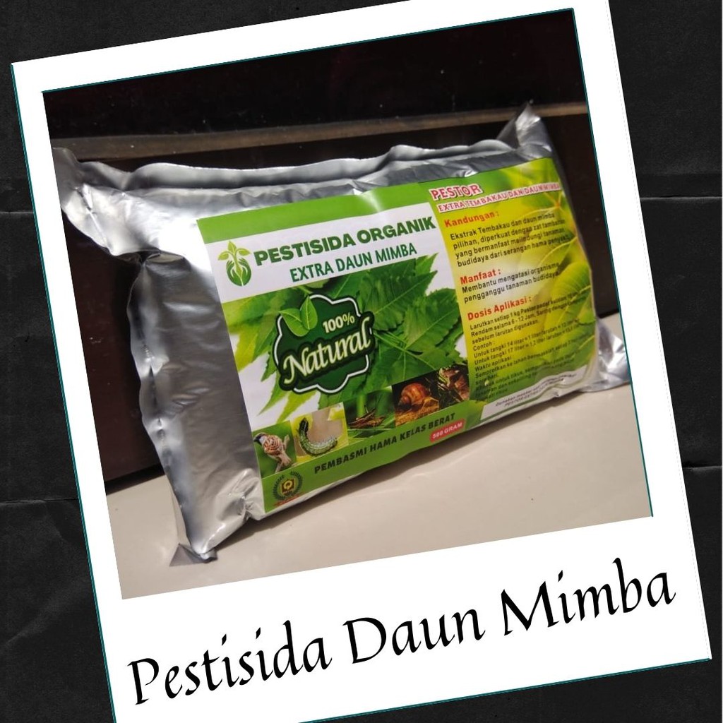 Pestisida Organik Daun Mimba, Pestisida Untuk Tanaman Mentimun, Pestisida Organik Mawar