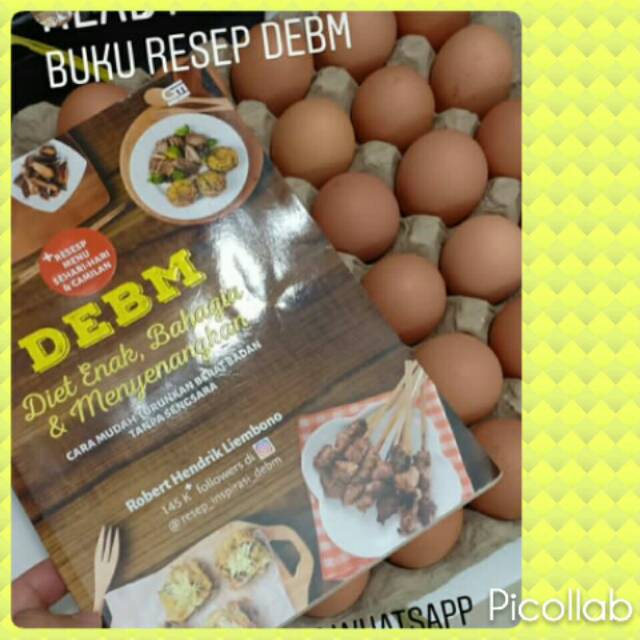 buku debm / diet enak bahagia menyenangkan /