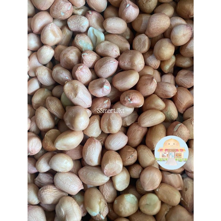 

Kacang Tanah Import India Ukuran Besar - 1KG