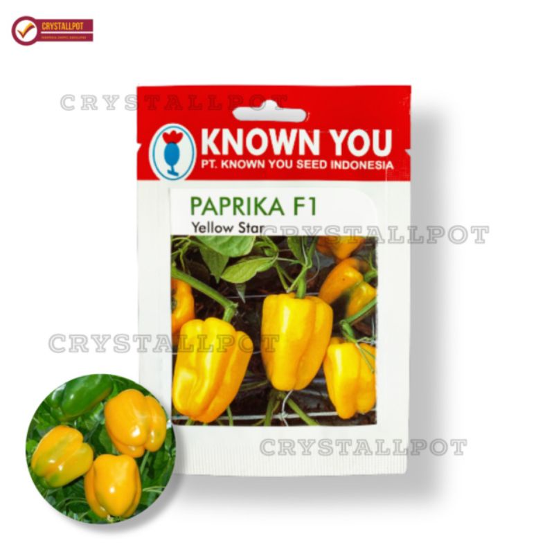 benih bibit PAPRIKA F1 YELLOW STAR known you seed - KYS F1 YELLOW STAR