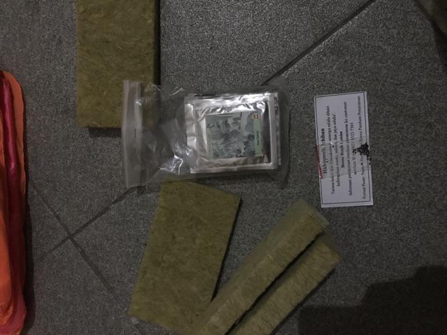 Benih Bibit Biji Bunga Mawar Jumbo Kemasan Alumunium Foil