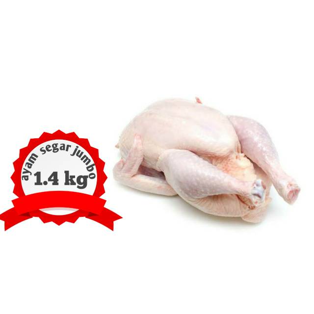 

Ayam segar porsi jumbo 1.3-1.5 kg