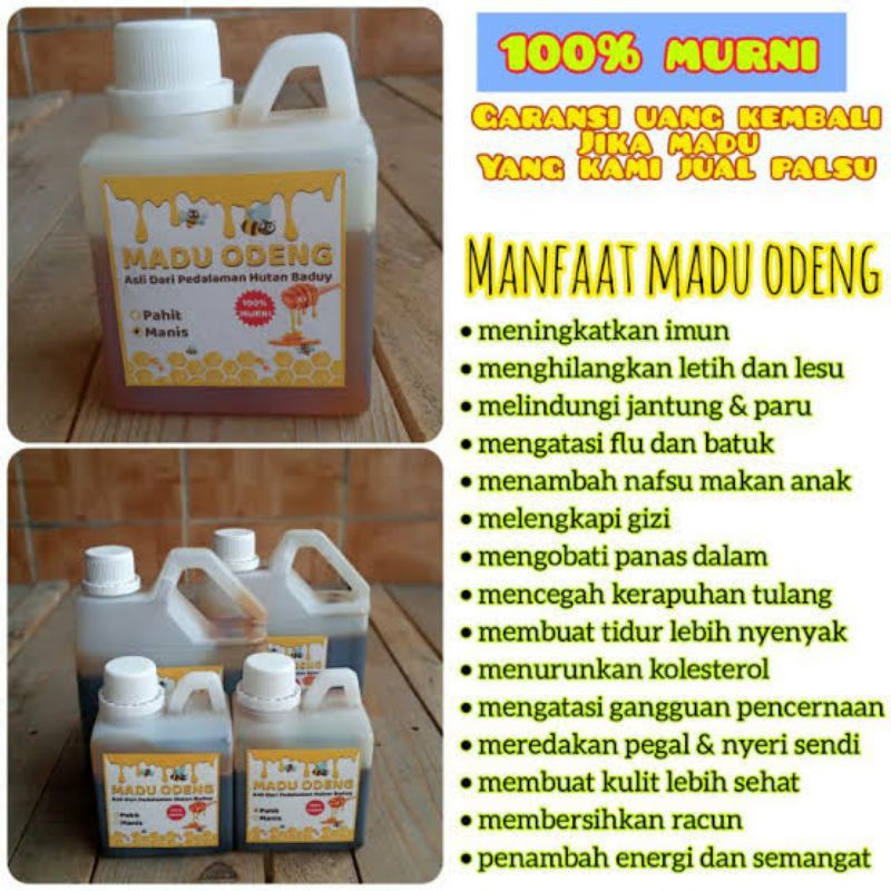 

Madu odeng madu asli Hutan