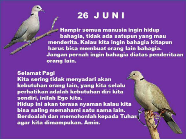 Tempat Sabun Batang Termurah