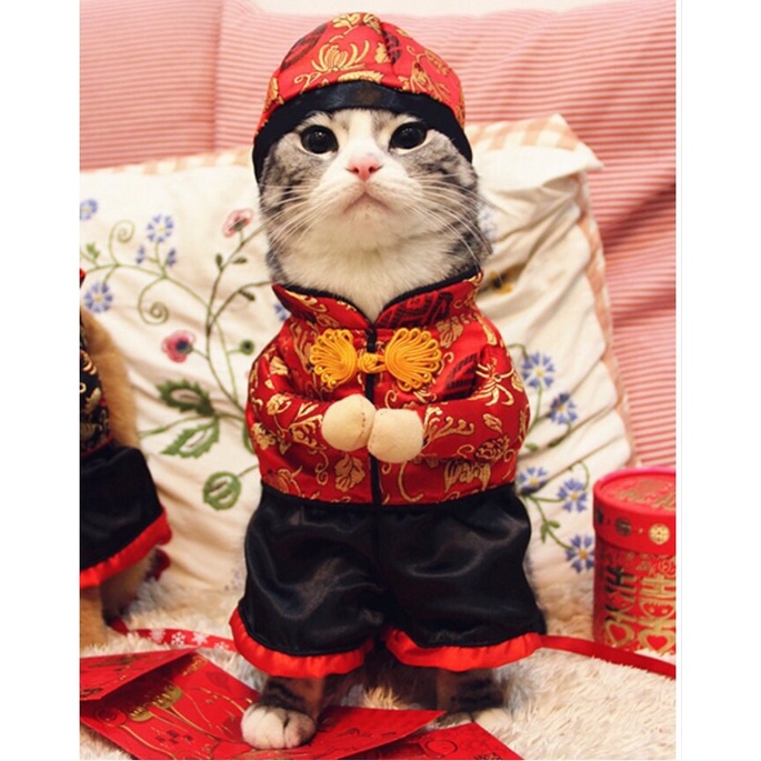 Baju Baju Imlek Anjing Kecil Sincha Anjing Dan Kucing Jantan Type B /