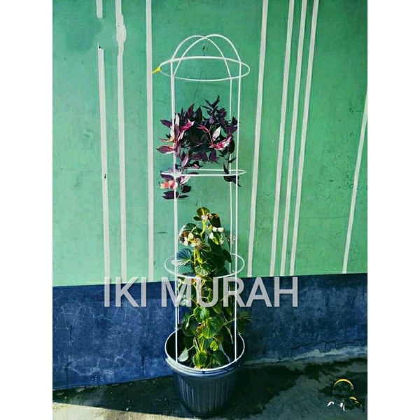 RAK BUNGA TANAMAN RAMBAT MODEL SANGKAR / RAK RAMBAT SERBAGUNA