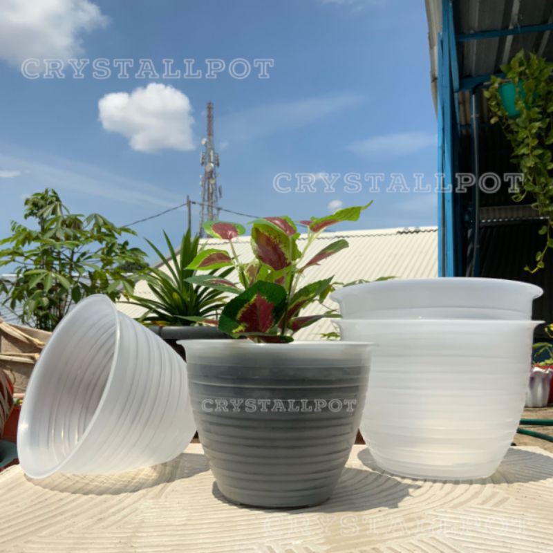 pot bunga tanaman hanny bening transparan 22cm model tawon - jmp 025