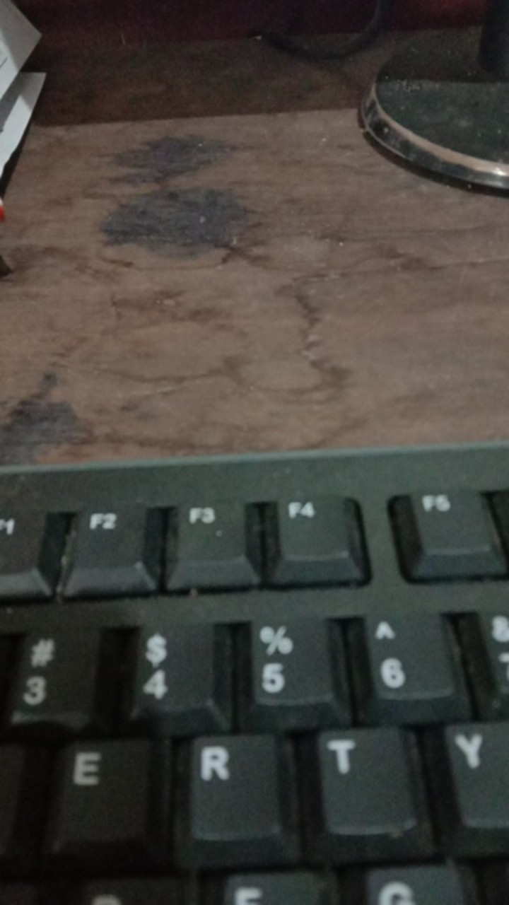 Sprei Motif Burbey Day