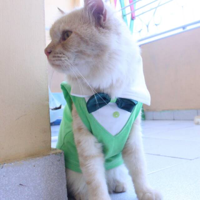 Kaos tuxedo keren untuk kucing dan anjing /Jual Baju Kucing Terlengkap &amp; Berkualitas size S M L XL