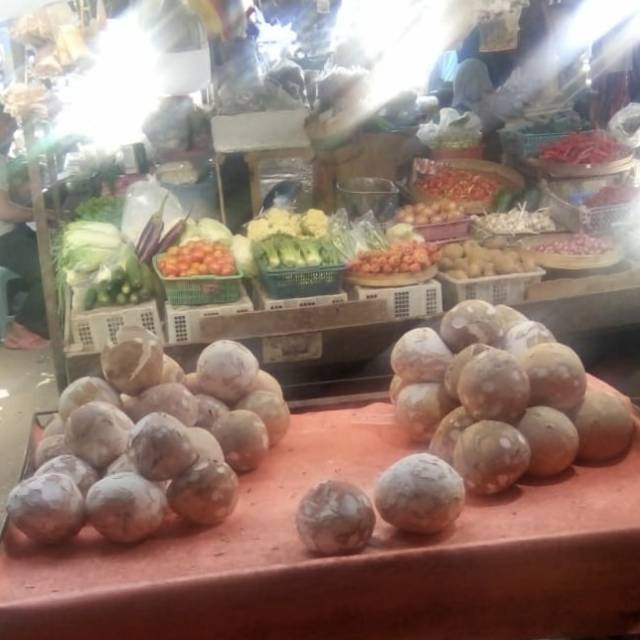 

KELAPA SANTAN