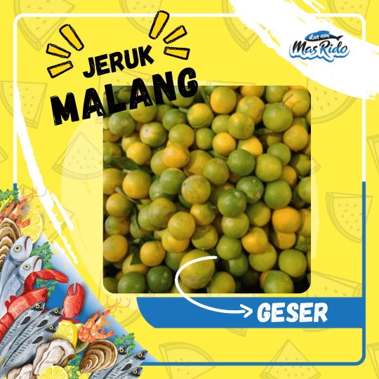 

Jeruk Malang Super Lokal Asli Malang Buah Jeruk Manis Fresh Segar