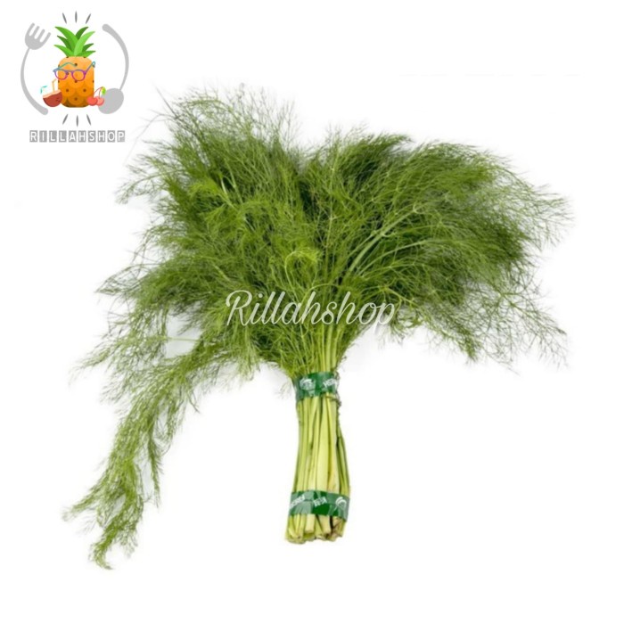 

Daun Dill Fresh