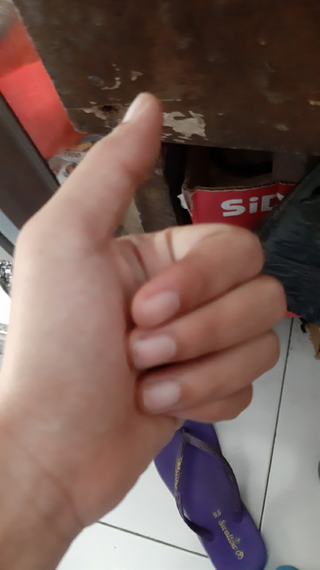 Recta Basket/box Serbaguna/storage/box Kepang/keranjang/keranjang Serba Guna/kotak Penyimpanan