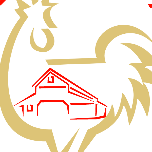 Bulu Ayam Clipart Gudang Gambar Vector Png 9735