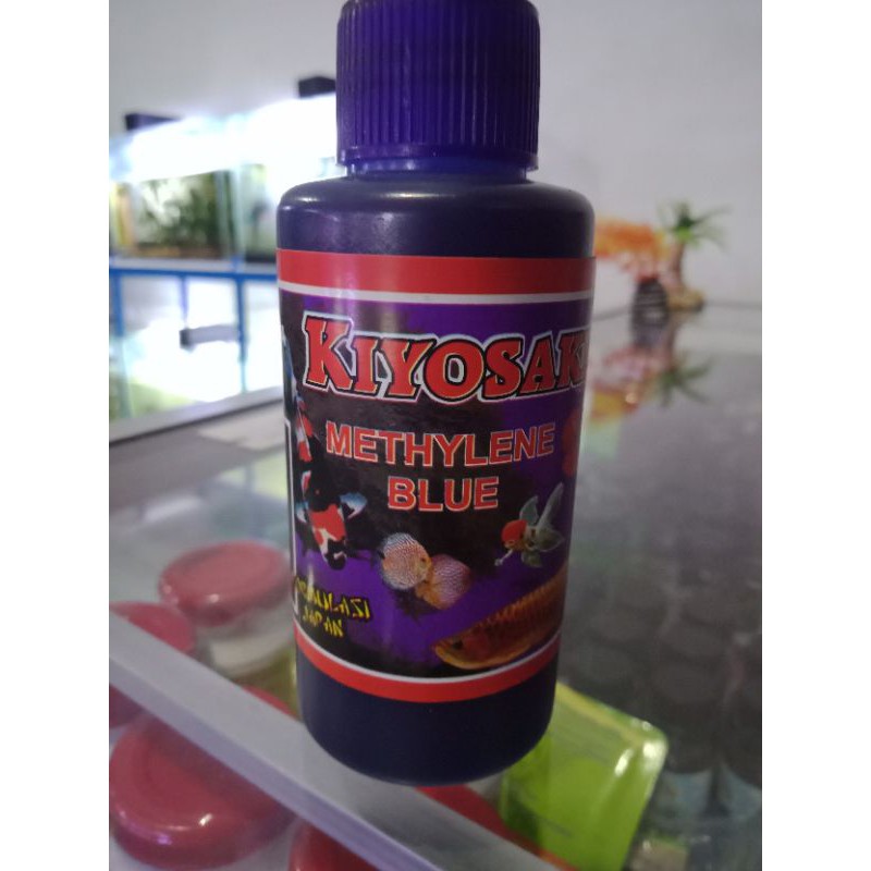 

KIYOSAKI BLUE