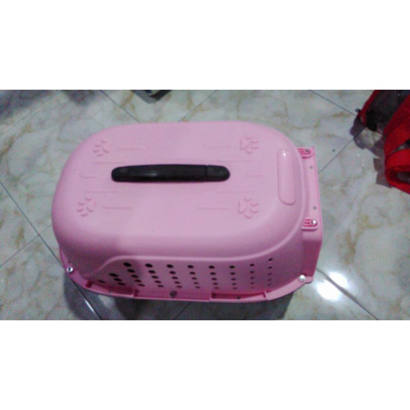 pet cargo kucing anjing kecil