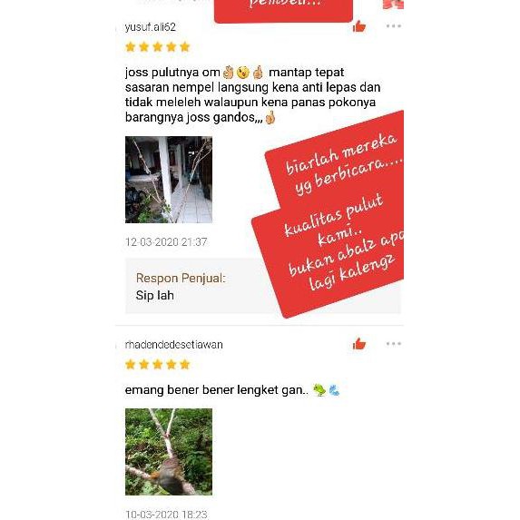 Star PULUT BURUNG JEBAKAN BURUNG LEM BURUNG GETAH BENDO GETAH KARET JEBAK BURUNG LEM PERANGKAP BURUN