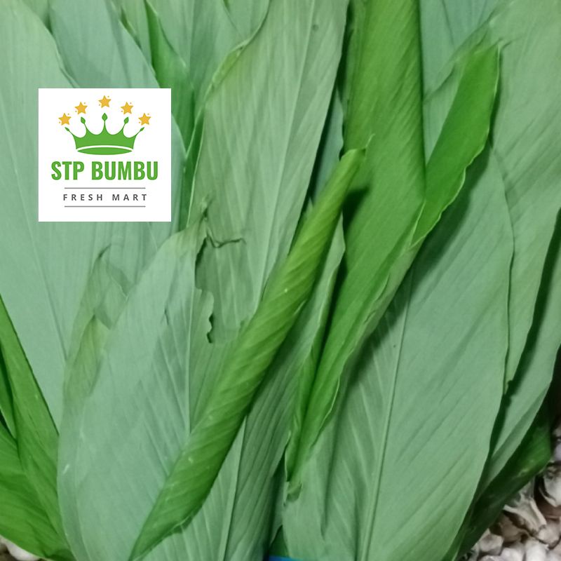 

Daun Kunyit Segar Fresh 50 gram - 100 gram