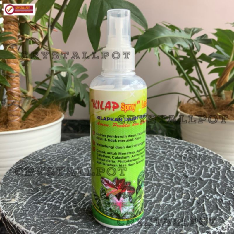 kilap leafshine spray 250 ml pengkilat daun siap pakai - KILAP BESAR