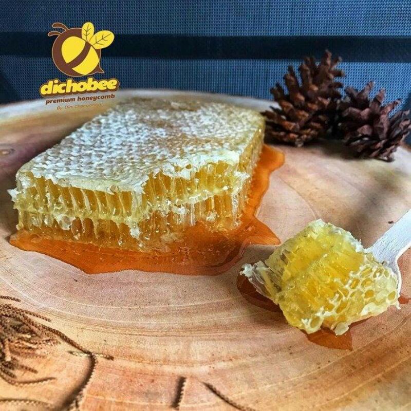 

Madu Sarang Dichobee - Sarang Madu Mallyfera 250 Gr