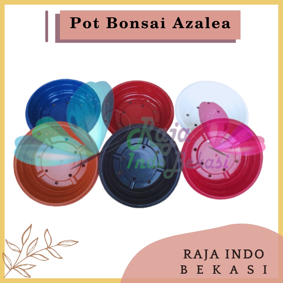 Pot Bonsai Azalea 25 Cm Putih Hitam Biru Merah Bata Pot Bonsai Tawon Ceper Plastik Utk Bonsai Kelapa