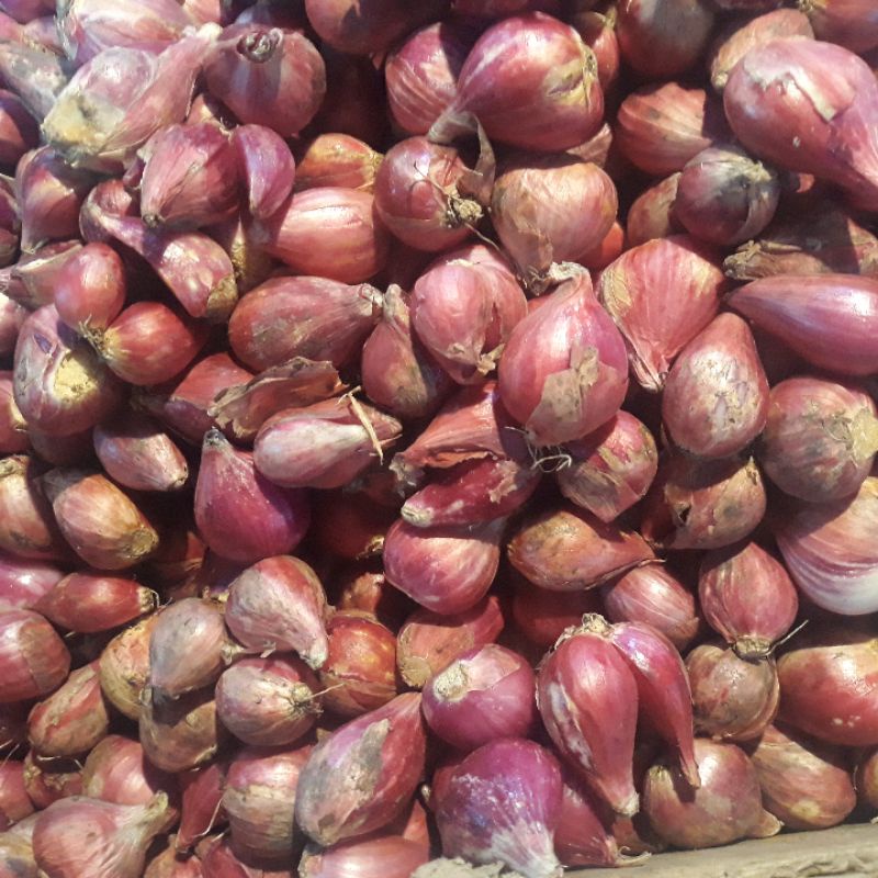 

bawang merah berkualitas segar 500g