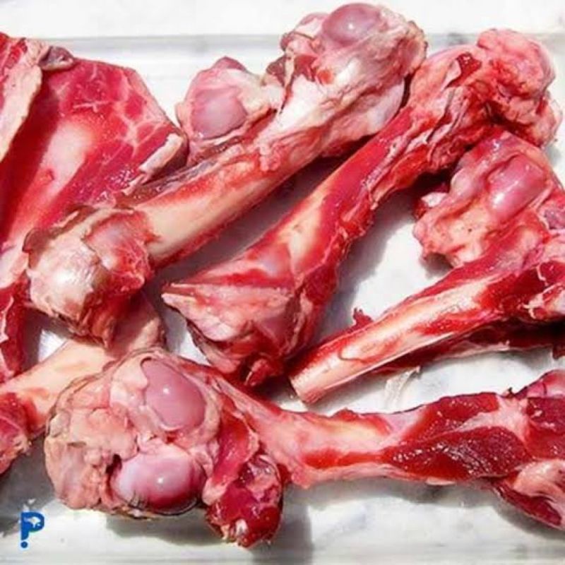 

Tulang Sumsum Kambing Berkualitas - 500 Gram