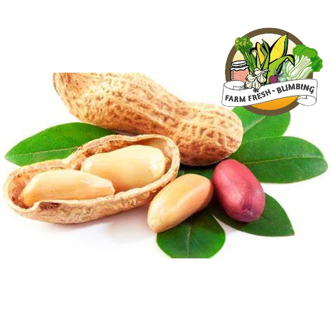 

kacang tanah 1kg