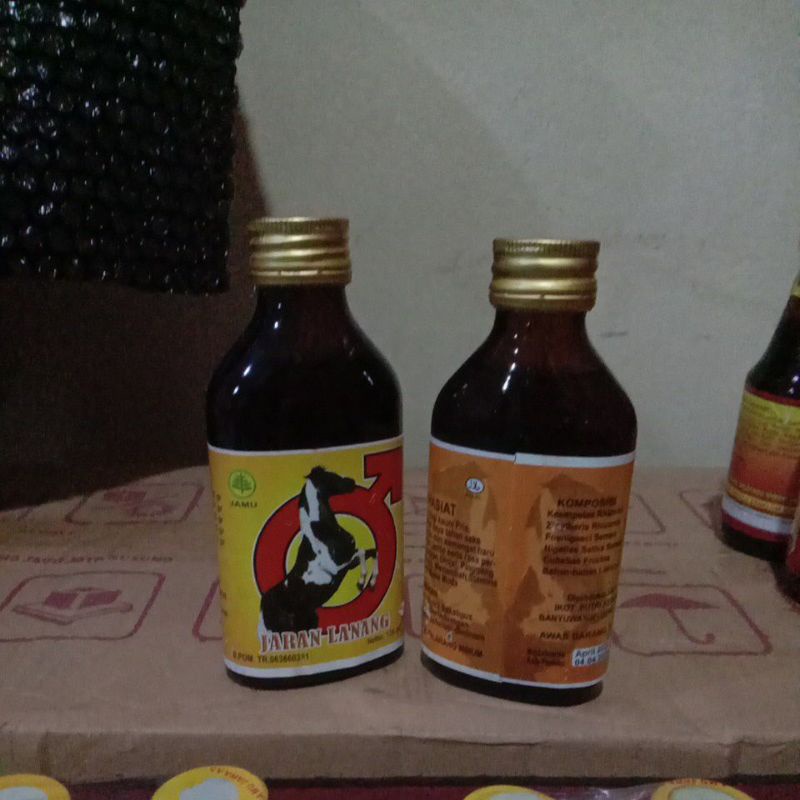 

Kamu Jaran Lanang Asli Banyuwangi