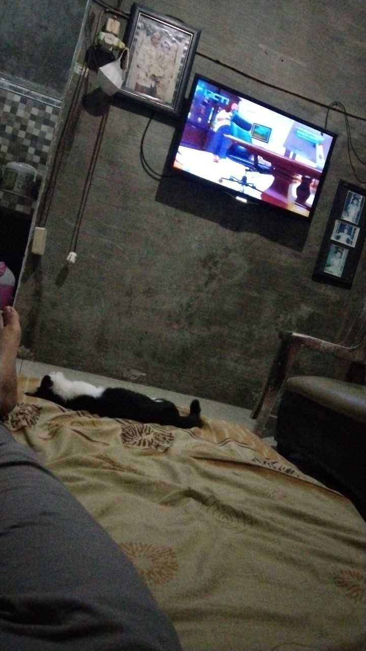 Discon Termurah Instagram 100 Followers - Buruan Sebelom Kehabisan