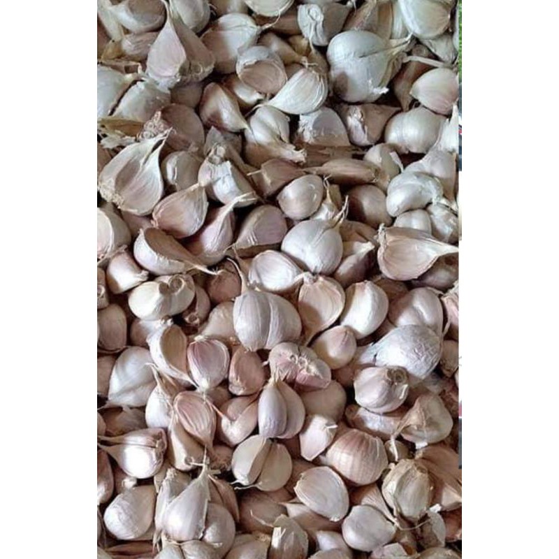 

BAWANG PUTIH KATING BERSIH 250 GRAM