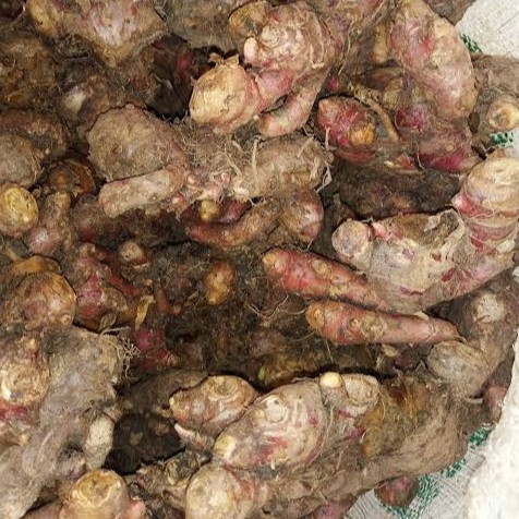 

Jahe merah 250g