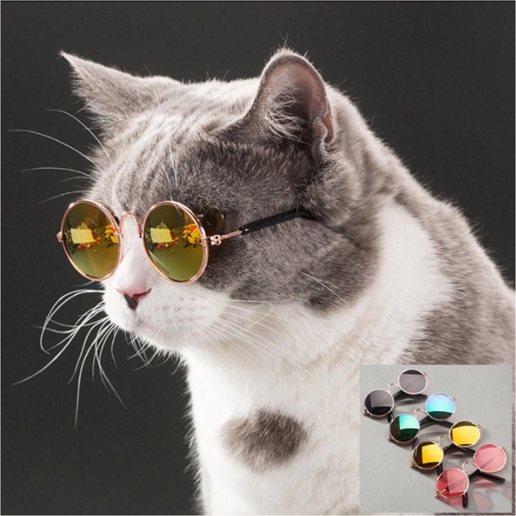 Kacamata Hewan Kucing / kacamata anjing kecil/ Eyeglasses Dog / Sunglasses Cat