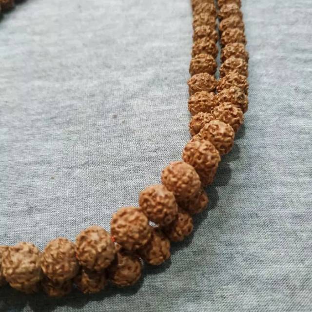 KALUNG JENITRI RUDRAKSHA BIJI JENITRI