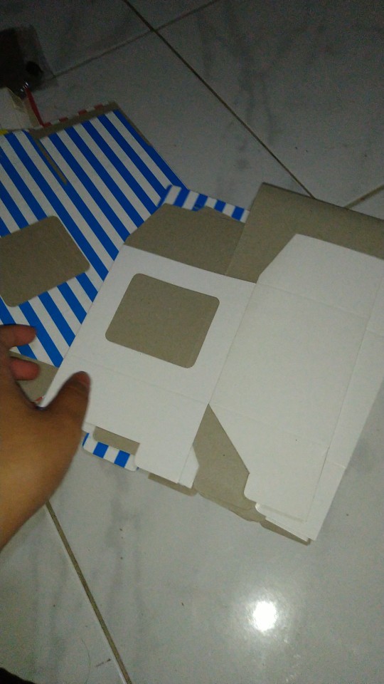 Box Mug Warna Strip / Garis