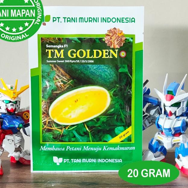 

Ada bonus Jika Beruntung⭐ TM GOLDEN - 20 GRAM ( bibit semangka inul kuning) | TRENDING | TERBARU LAGI |