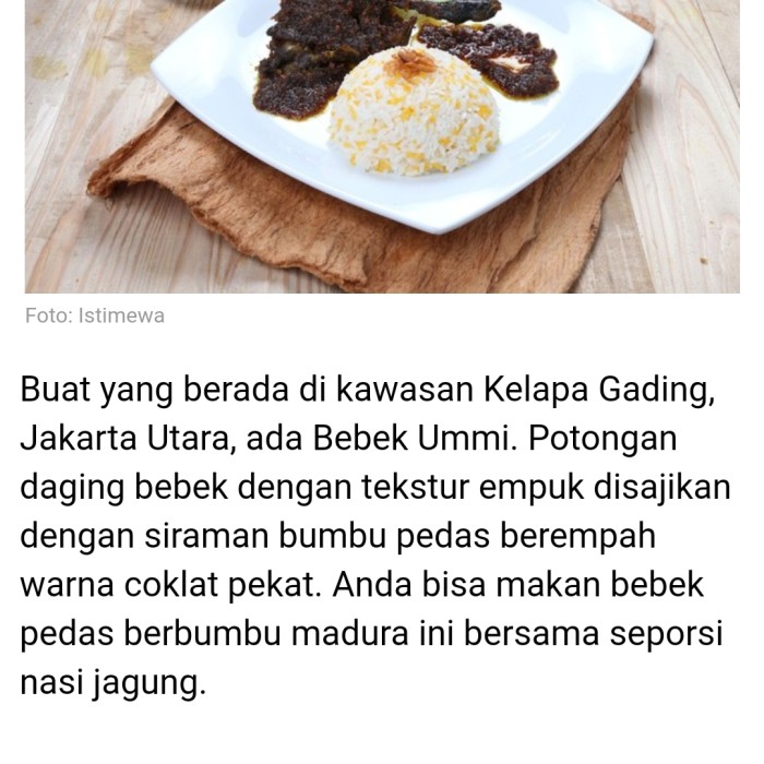 

Ready- Bebek Ummi - Bumbu Hitam Khas Madura Level 3 Ukuran 300 Gram