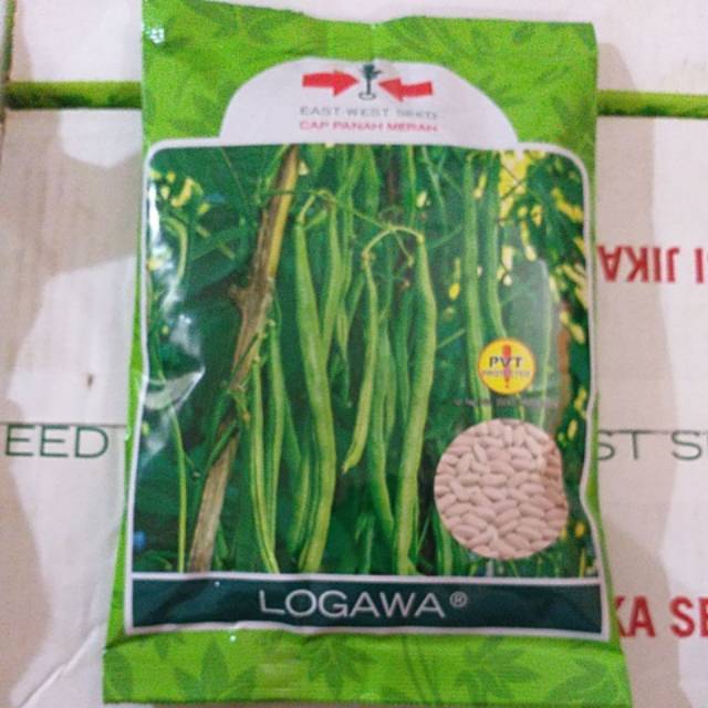 Benih Buncis Logawa isi 500 gram