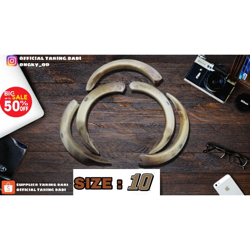 [HARGA RESELLER] TARING BABI ORIGINAL 10CM